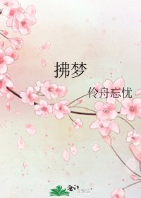 拂梦